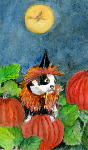 Fright Night In The Pumpkin Patch