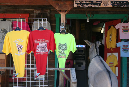 ATM Customer in Oatman, Arizona