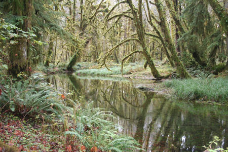 Gold Beach, Oregon, Garden