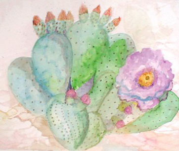 Cactus Flower 2