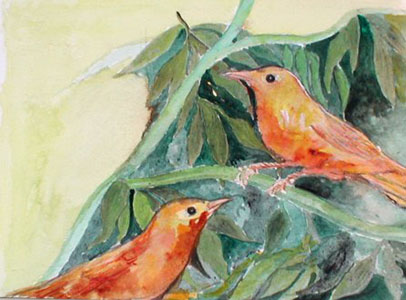 Orange Birds