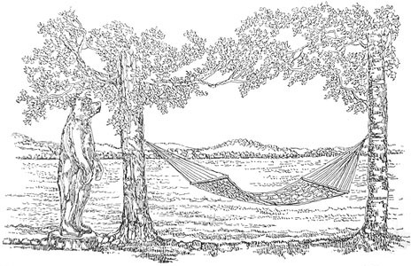 Bear and Hammock