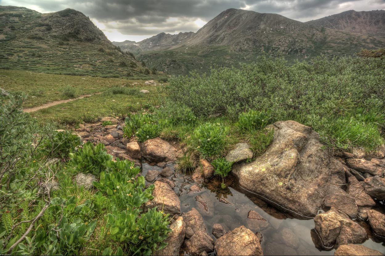 Linkins Lake Hike