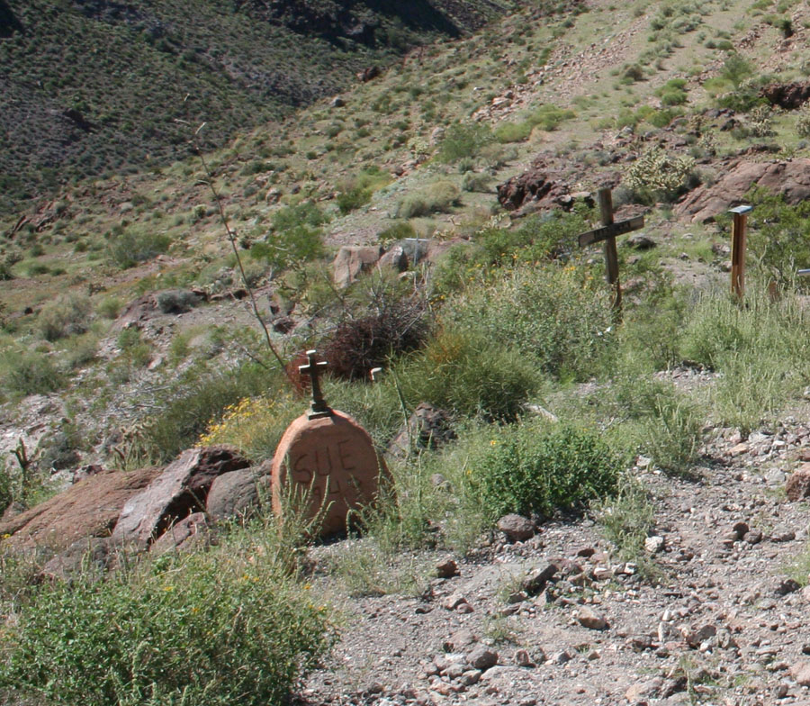 Organic cemetery with grave markers