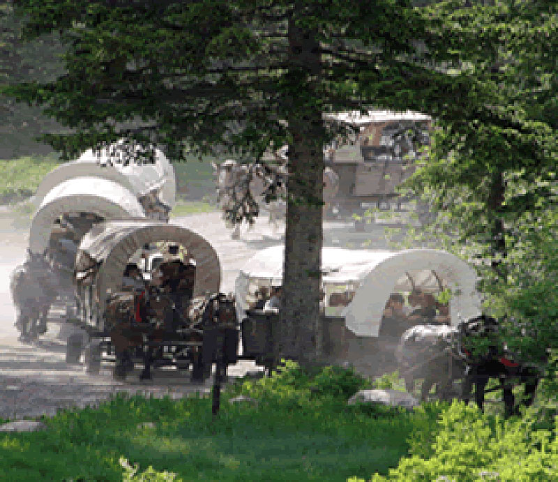 Covered Wagon Ride Through Cache Canyon and Cookout/Entertainment by Bar t 5 Ranch, Jackson, Wyoming