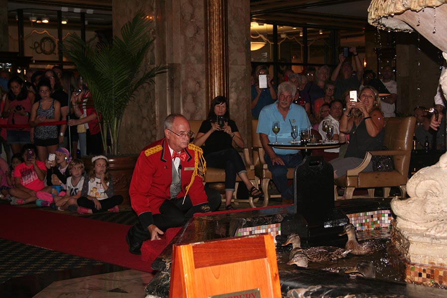 Peabody Hotel Ducks and visit with the Duckmaster